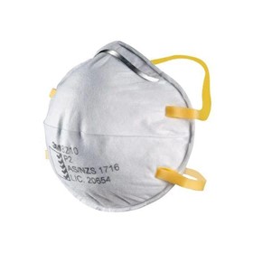 Particulate Disposable Respirators 8000, P1 / P2