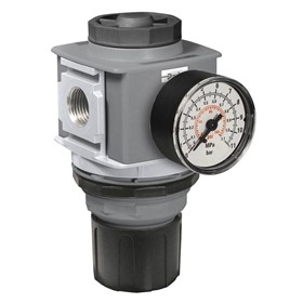 Pressure Regulator | P33R Series | P33RA14BNGP