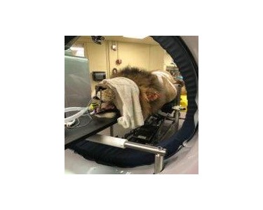 Imaginalis - Vet CT Scanner | Imaginalis SAVANA™ Evolution Zoo System