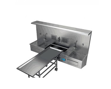 Carehaven - Sink Workstation and Bench | CWS240 & CWS160 | Autopsy Workstation