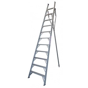 Aluminium Orchard Access Ladder 14ft | Pro Series