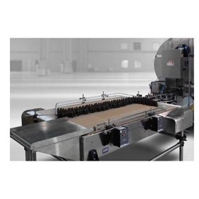  Conveyors and Accumulation Systems - Glass Bottle Feeder