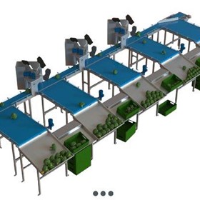 Broccoli Sorting Machine