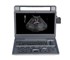 Siui - V9 Lite Digital Color Doppler Veterinary Ultrasound Imaging System 