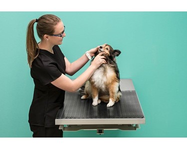 Midmark - Fold-Down Veterinary Examination Table