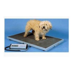 Heavy Weight Animal Scale