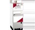 IceTeam - Soft Serve Machine | 603 BIB Twin Twist