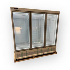 Triple Door Display Freezer