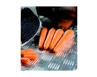 Eillert - Potato & Carrot Peeling Machine | B/C 25 RVS