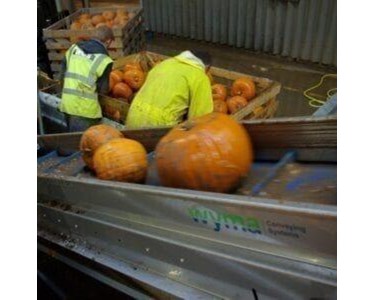 Pumpkin Brusher | Wyma Solutions