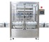 Double Servo Filling Machine | Packaging & Filling Systems