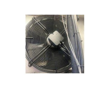 IQF Freezer