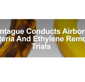 Montague Conducts Airborne Bacteria And Ethylene Removal Trials