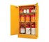 Flammable Liquid Storage Cabinet 1750 x 1100 x 500