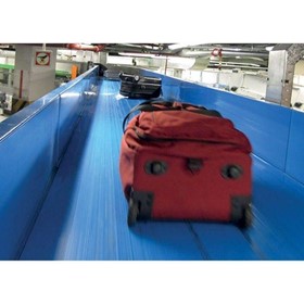 Baggage Belt Conveyor | Raw baggage