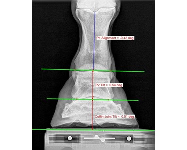 Veterinary DR X-Ray System | Metron Lumina 8