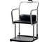ALPHACARE - Chair Scale | H250-00-4