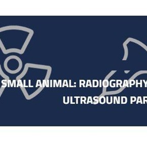 Small Animal: Radiography Vs Ultrasound Part 1