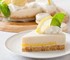 Depositor System Bakery Depositor | Edhard PV Series