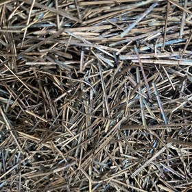 Stainless Steel Fibres