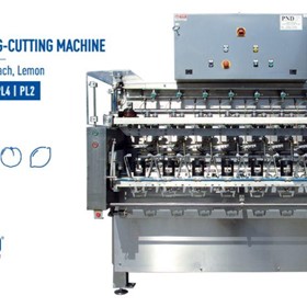 SUMMIT MACHINERY - PND PL2|4|6|8 Peeling, Coring & Cutting Machine