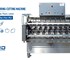 PND Fruit Processing Machinery - SUMMIT MACHINERY - PND PL2|4|6|8 Peeling, Coring & Cutting Machine
