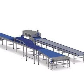 Conveyor Belt System Temp -40 °C to +80 °C | RVO Food & Bakery