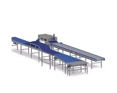 Conveyor Belt System Temp -40 °C to +80 °C | RVO Food & Bakery