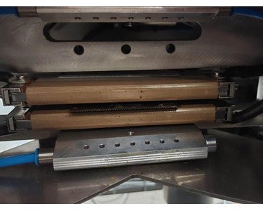 Manter - Packaging Machine Wicket Bagger