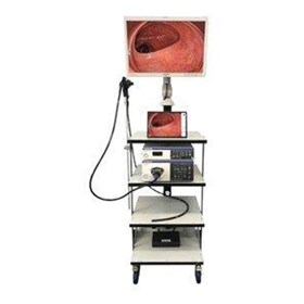 Veterinary Video Endoscopy System | EVIS EXERA III 190 HD