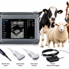Compact Touch Veterinary Ultrasound System – BestScan® S6 Touch