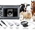 APS Technology Australia - Compact Touch Veterinary Ultrasound System – BestScan® S6 Touch