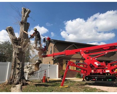 Spider Lifts 200 kg | CMC S19HD 