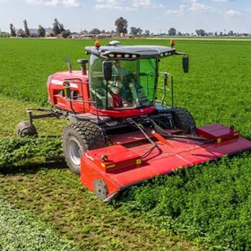 Self Propelled Windrower | MF 