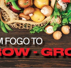 From FOGO to Grow-Grow!