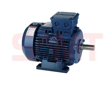 IEC Standard Electric Motor - Low Voltage (LV)