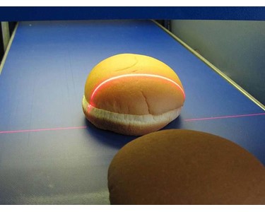 Vision Inspection System | TheiaVu™ Benchtop Vision System