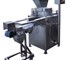 Fruit & Vegetable Processing | Horizontal slicer for strips.