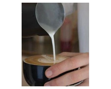 Automatic Milk Steamer | Wally Milk