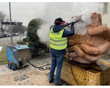 Duplex - Industrial Steam Cleaner | Steam Sky Weed Steamer Machine