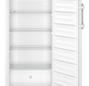 Laboratory Freezer 499L | Ignition-Free | SFFfg 5501 