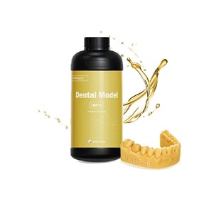 Dental Model (Yellow) - DM12