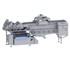 Vegetable Washing Machine Vibration or Belt Outfeed | HEWA 3800 