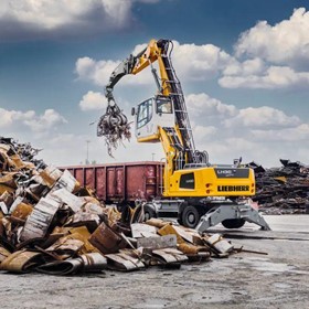 Material Handler | LH 30 M Industry Litronic