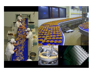 Scanbelt Plastic Modular Conveyor Belts