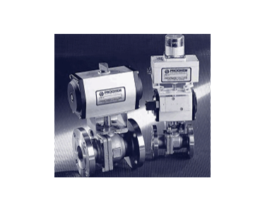 ProChem - Actuated Ball Valves