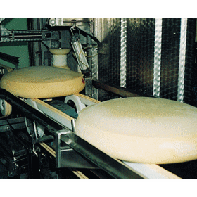 Conveyor Belts | PU & PVC Coated | Dairy Industry