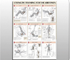 Strength Training for the Abdomen Poster