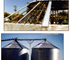 Flat Bottomed Commercial Silo 2