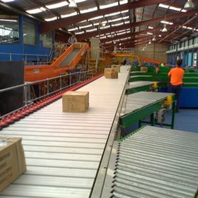 Transfer Conveyor & Diverters